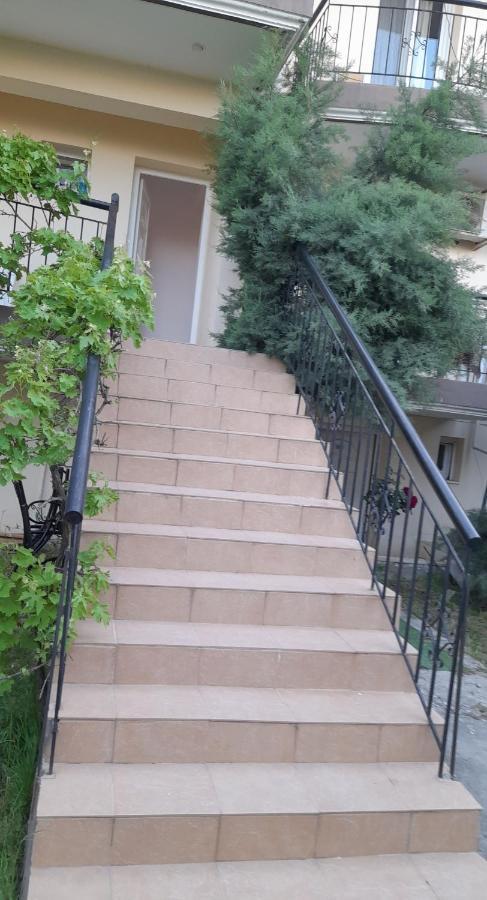 Villa Leopard Stavros  Exteriér fotografie