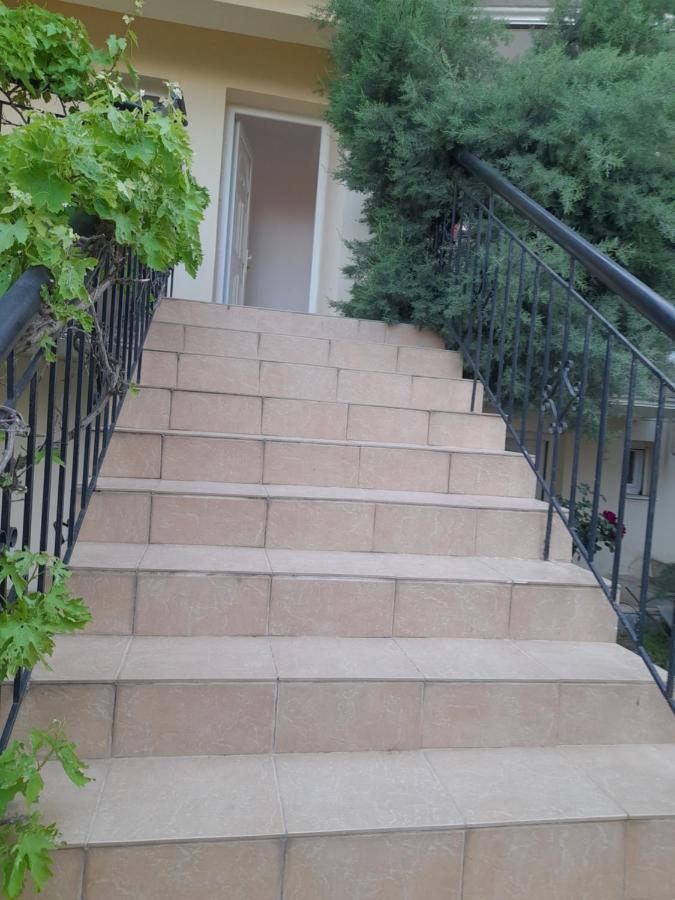 Villa Leopard Stavros  Exteriér fotografie